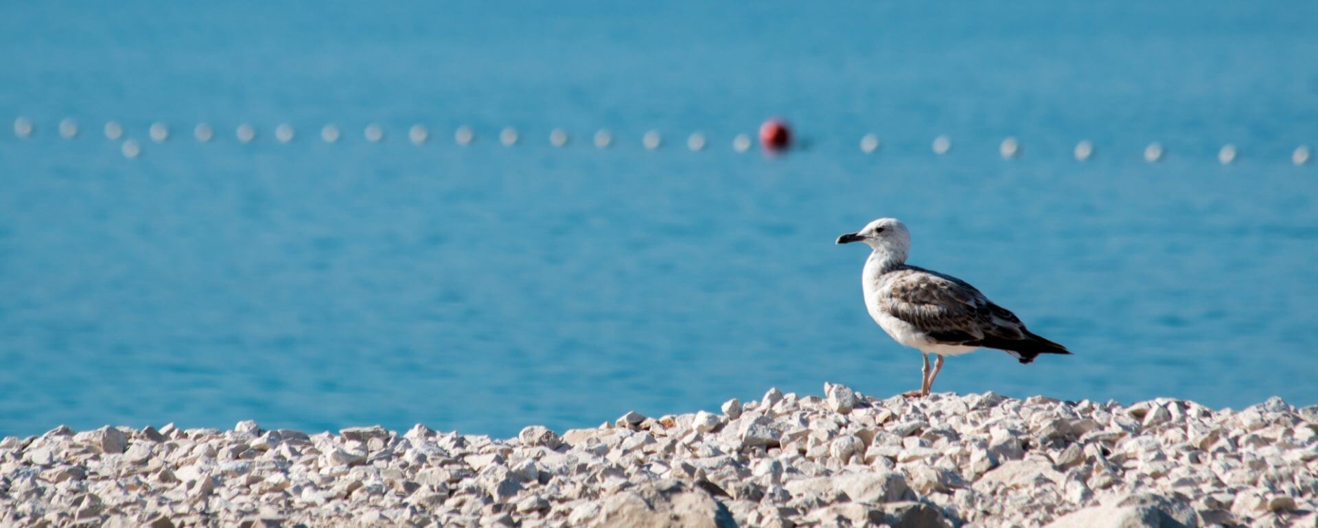 Nice sea view penthouse in Podstrana